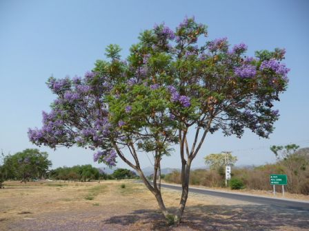 Couleurs de la region de Salta.JPG